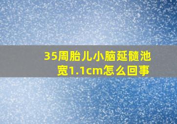 35周胎儿小脑延髓池宽1.1cm怎么回事