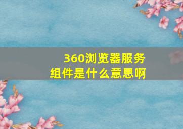 360浏览器服务组件是什么意思啊