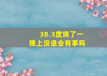 38.3度烧了一晚上没退会有事吗