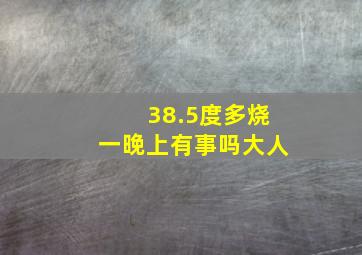 38.5度多烧一晚上有事吗大人