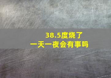 38.5度烧了一天一夜会有事吗