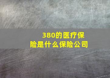 380的医疗保险是什么保险公司