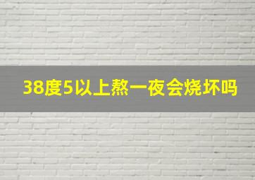 38度5以上熬一夜会烧坏吗