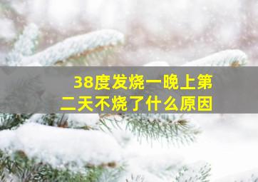 38度发烧一晚上第二天不烧了什么原因