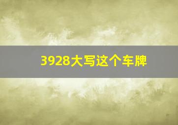 3928大写这个车牌