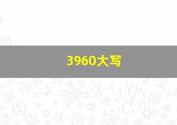 3960大写