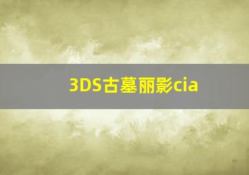 3DS古墓丽影cia