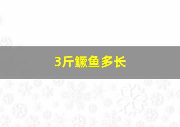 3斤鳜鱼多长