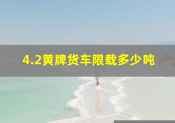 4.2黄牌货车限载多少吨