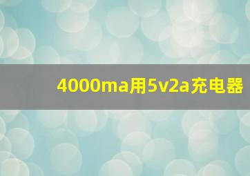 4000ma用5v2a充电器