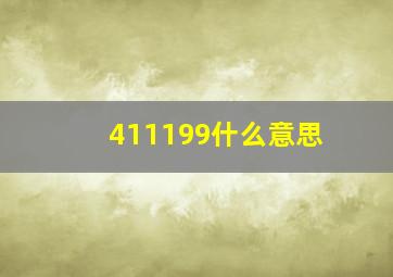 411199什么意思