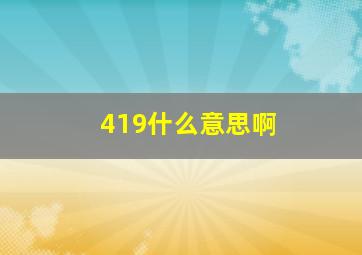 419什么意思啊