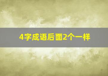 4字成语后面2个一样