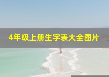 4年级上册生字表大全图片