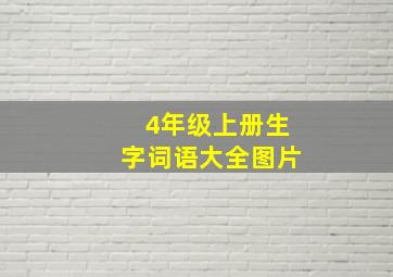 4年级上册生字词语大全图片