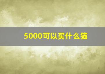 5000可以买什么猫