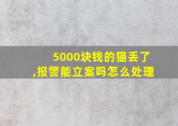 5000块钱的猫丢了,报警能立案吗怎么处理