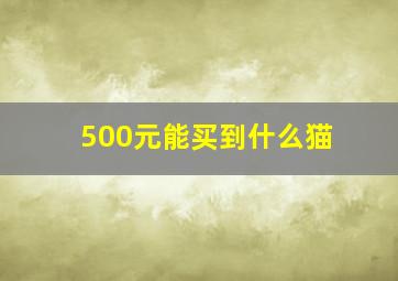 500元能买到什么猫