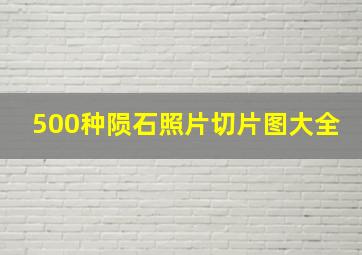 500种陨石照片切片图大全