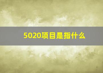 5020项目是指什么