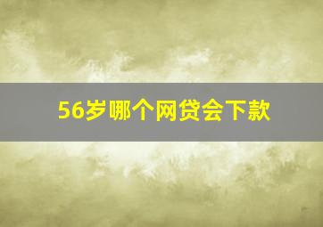 56岁哪个网贷会下款