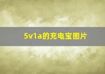 5v1a的充电宝图片