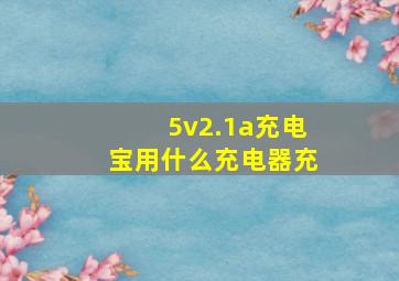 5v2.1a充电宝用什么充电器充