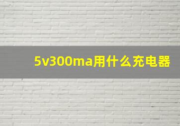 5v300ma用什么充电器