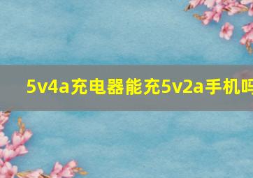 5v4a充电器能充5v2a手机吗