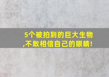 5个被拍到的巨大生物,不敢相信自己的眼睛!