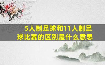 5人制足球和11人制足球比赛的区别是什么意思