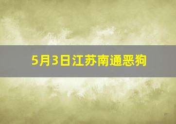 5月3日江苏南通恶狗