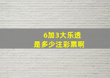 6加3大乐透是多少注彩票啊