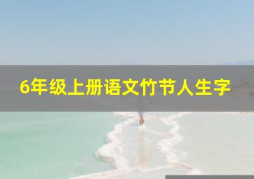 6年级上册语文竹节人生字