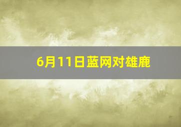 6月11日蓝网对雄鹿