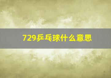 729乒乓球什么意思