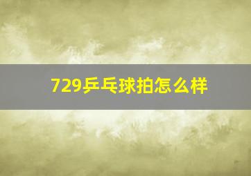 729乒乓球拍怎么样