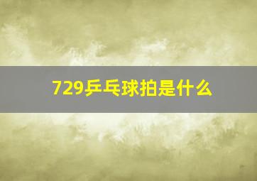 729乒乓球拍是什么