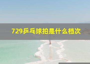 729乒乓球拍是什么档次