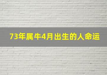 73年属牛4月出生的人命运