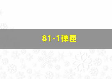 81-1弹匣