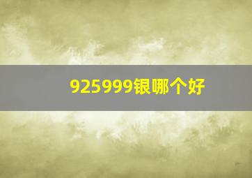 925999银哪个好