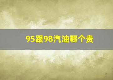 95跟98汽油哪个贵