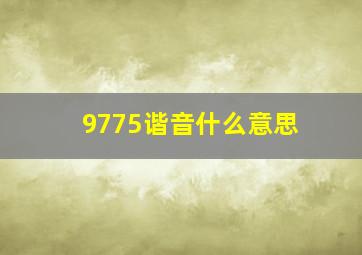 9775谐音什么意思