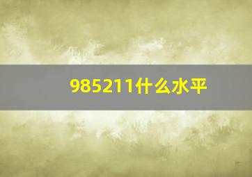 985211什么水平