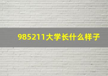 985211大学长什么样子