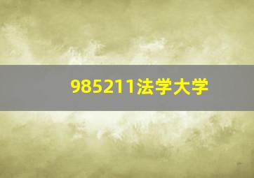 985211法学大学