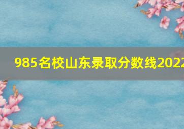 985名校山东录取分数线2022