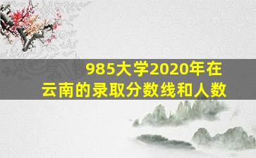 985大学2020年在云南的录取分数线和人数