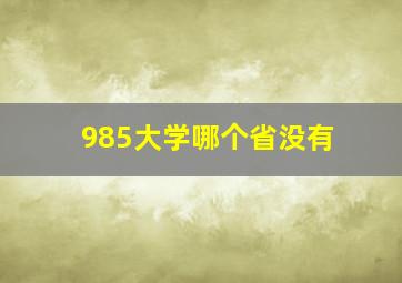 985大学哪个省没有